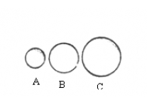 Circles set of 3 - 1845
